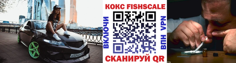 Cocaine Fish Scale  Купить закладки  Белая Холуница 