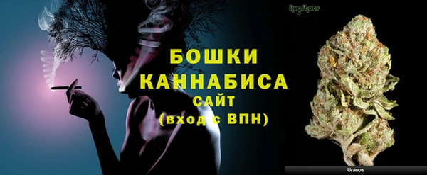 шишки Балабаново